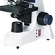 microscope with display